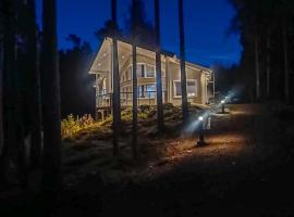 Holiday Home Villa lokinkärki by Interhome，位于Koljonkanta的酒店