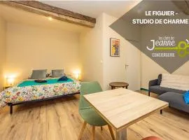Le Figuier - Studio de Charme