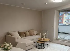 Zentrales Apartment mit Dachterrasse und Parkplatz