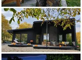 Black Walnut House with indoor outdoor fireplace