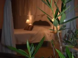 Refugio Alana Máncora