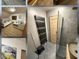 Apartmany Zvole