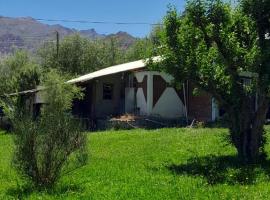 Cabañas Jardín del Neuquén，位于Huinganco的酒店