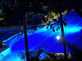 Natural paradise in playa del carmen