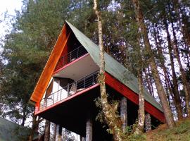 Cabañas El Rincón de Pancho，位于Altotonga的酒店