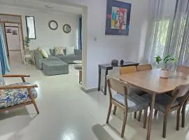 Zachi Eland Apartment