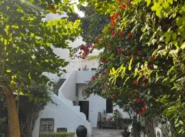 Mosaics Guest House
