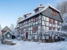 Kaffeemühle Hamma I