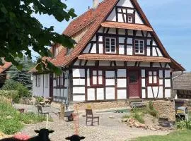 Eco half-timbered house near Black Forest