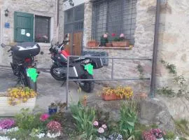 La corte dei celti 9