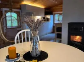 Viihtyisä hirsimökki Venturissa