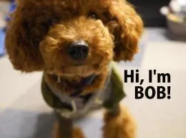 Slopeside Lodge Hakuba