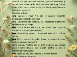 Casa Domnească Cacica，位于卡奇卡的酒店