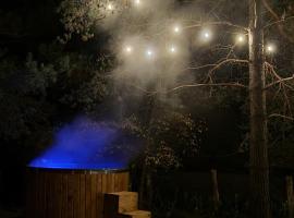 Sosnowy Plan，位于Józefów的酒店