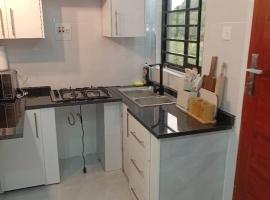 Wamis serviced apartments，位于索尔韦齐的酒店