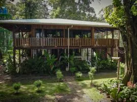 Casa Shec- An Oceanfront Jungle Retreat