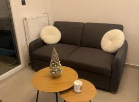 Cozy Minimalist Studio