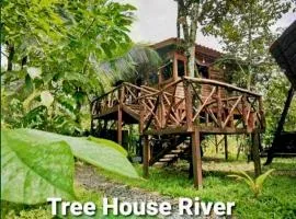 Tree House River