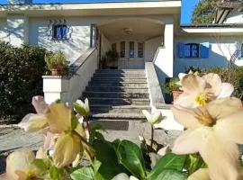 campagnoli