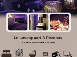 Appartement tout confort avec balnéo et lit king size