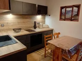 Studio Chaleureux 4 Pers, Balcon, Animaux OK - FR-1-676-224