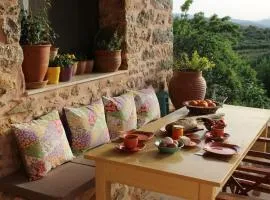 House in Organic Farm