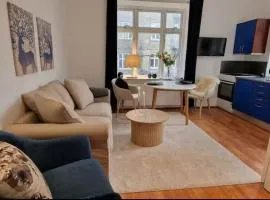 Central 1BR Studio - Walk Everywhere in Aarhus