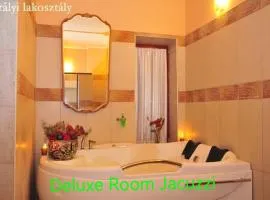 Castle Wellness Resort & Spa