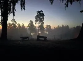 Ruhtinaanmäen Spider Tree Tent