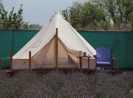 Glamping Rinc&oacute;n de Lavanda，位于Texcoco de Mora的宠物友好酒店