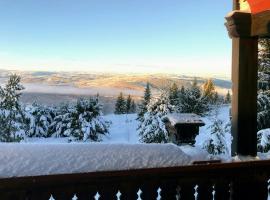 Spacious Family Cabin With Views In Hafjell，位于Øyer的酒店