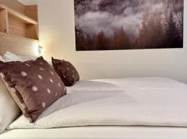 Appartamento Marrone Commezzadura