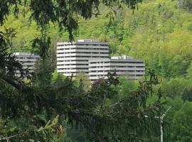 3 Zimmer Apartment Kostenfreien WLAN，位于巴特哈尔茨堡的带泳池的酒店