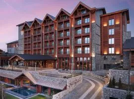 Ceylan Splend'or Uludag, Autograph Collection