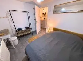 La Maison de Sam - Centre Ville - Terrasse Privée - Proche Parking Gratuit - Europa-park