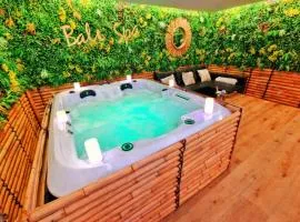 BALI SPA-4 Pers-Jacuzzi-Parking-Jardin-Clim-Colmar