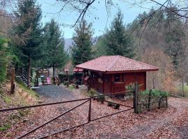 KALMul naturii, iureșul pădurii，位于Firiza的酒店