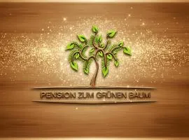 欧罗帕祖姆格伦鲍姆膳食公寓 