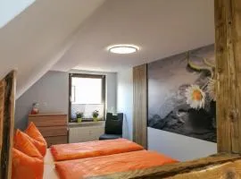 Ferienwohnung Dreams
