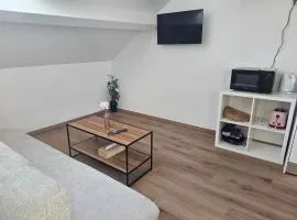 Grande chambre lumineuse, centre de mons