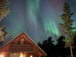 Cozy Mountain Cabin in Senja