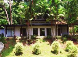 Majestic View House in Dominical, Oceanview，位于San Luis的酒店