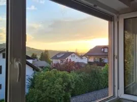 Ferienhaus Falkenstein mit wunderschönem Bergblick