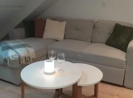 Le sommet virtonnais appartement 4 p sous les etoiles au coeur de la gaume