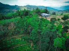 Star Bish Mount View