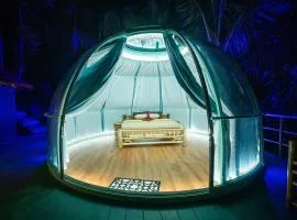 Leela Garden Resort Bubble house