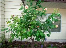 The Breakfast Getaway In Fraser Valley