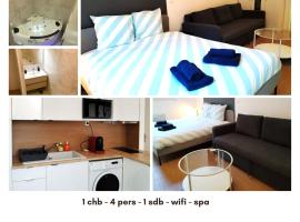 Vierzon Centre - joli T2- balnéo- wifi，位于维耶尔宗的酒店