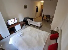 Studio Kalina Green Life