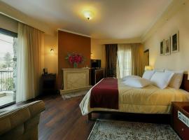 Hotel Nostos Kastoria，位于卡斯托里亚的酒店